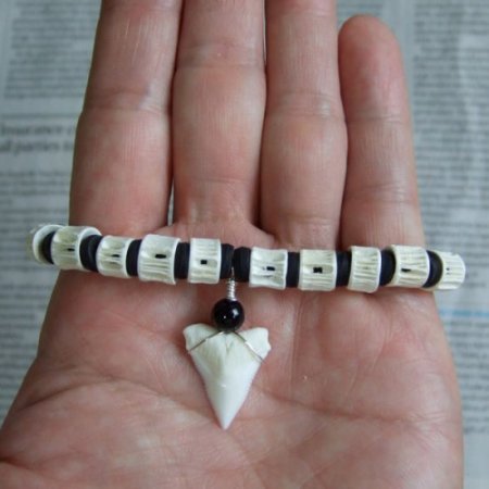 【表示現品】本物のサメの歯ブレスレット - BLB13011