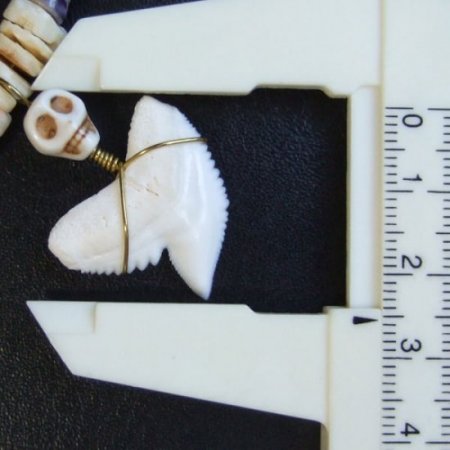 【表示現品】2.5cm タイガーシャークの歯 ビーズネックレス - STN-12037