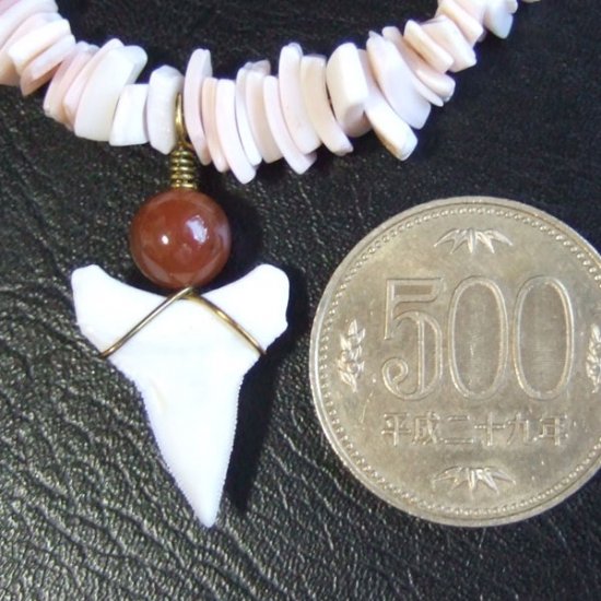 【表示現品】メジロザメの歯と貝殻ビーズのネックレス - BLB-13022