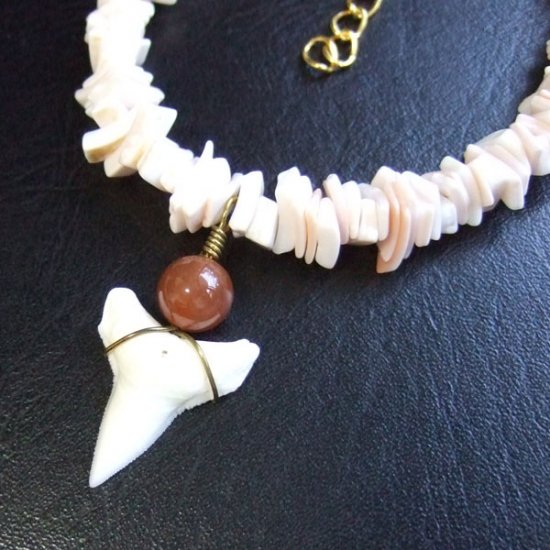 【表示現品】メジロザメの歯と貝殻ビーズのネックレス - BLB-13022