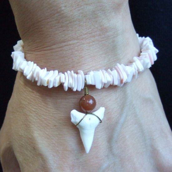 【表示現品】メジロザメの歯と貝殻ビーズのネックレス - BLB-13022