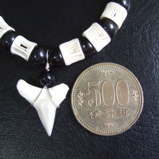 【表示現品】本物のサメの歯ブレスレット - BLB13009