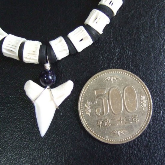 【表示現品】本物のサメの歯ブレスレット - BLB13010