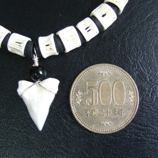 【表示現品】本物のサメの歯ブレスレット - BLB13011