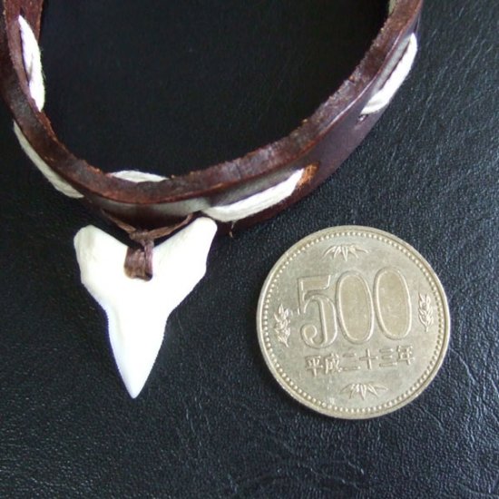 【表示現品】本物のサメの歯レザーブレスレット - BLB13012