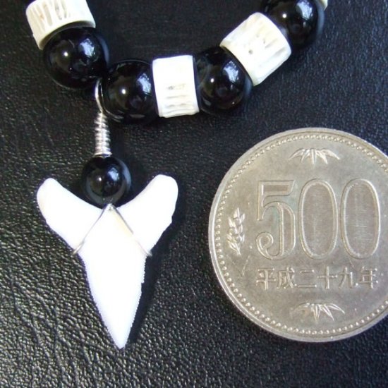 【表示現品】メジロザメの歯ビーズネックレス - BLN-12039