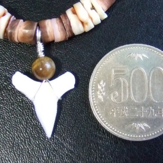 【表示現品】メジロザメの歯ビーズネックレス - BLN-12040