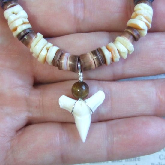 【表示現品】メジロザメの歯ビーズネックレス - BLN-12040