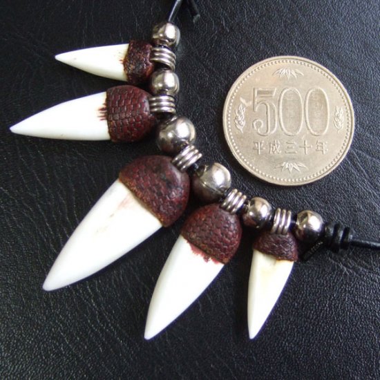 【表示現品】クロコダイルの牙 ペンダント- CTN-40017