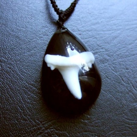 サメの歯樹脂封入ペンダント（シロワニ）ブラック- 20804ezw