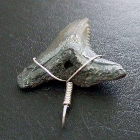 カマヒレザメの歯（化石）ペンダント【現品】 - 30002zhb