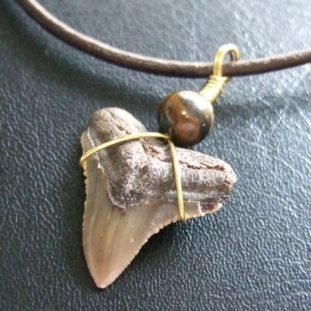小さなサメの歯化石（メジロザメ）ペンダント【現品】 - 30110zhc