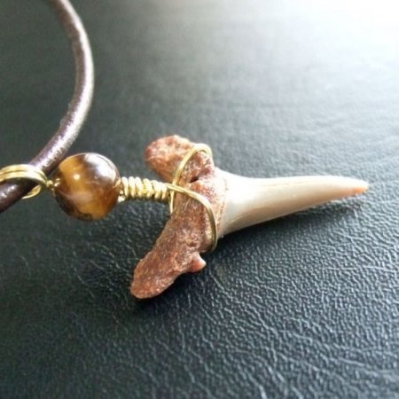 小さなサメの歯化石（シロワニ）ペンダント【現品】 - 30111zhc