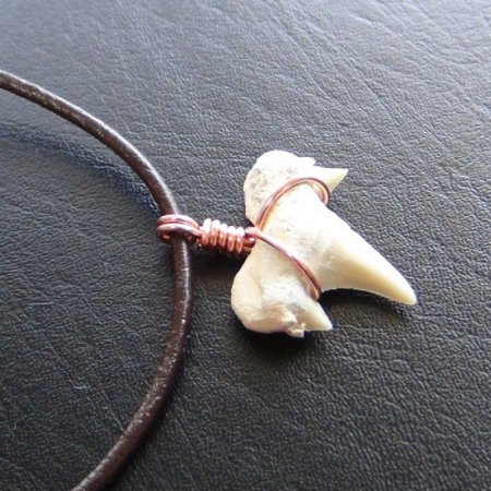 【表示現品】本物のサメの歯化石ペンダントトップ 2.4 cm - 30127zhc