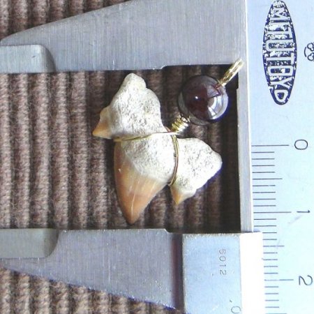 【表示現品】本物のサメの歯化石ペンダントトップ 2.4 cm - 30131zhc