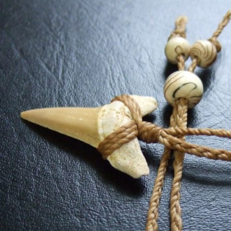 サメの歯化石 ペンダント（3.1cm）【現品】 - 30207zhc