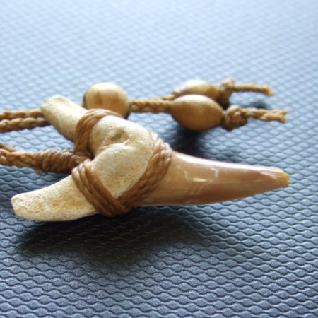 サメの歯化石 ペンダント（3.9cm）【現品】 - 30219zhb