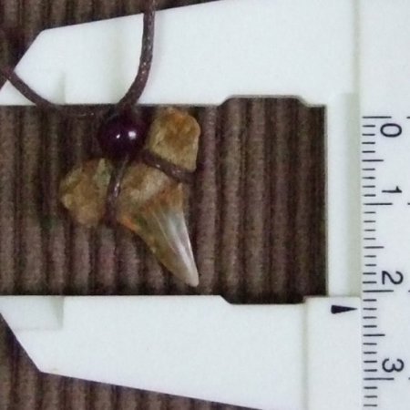 【表示現品】古代アオザメの歯化石 ペンダント（2.1cm） - 30222zhb