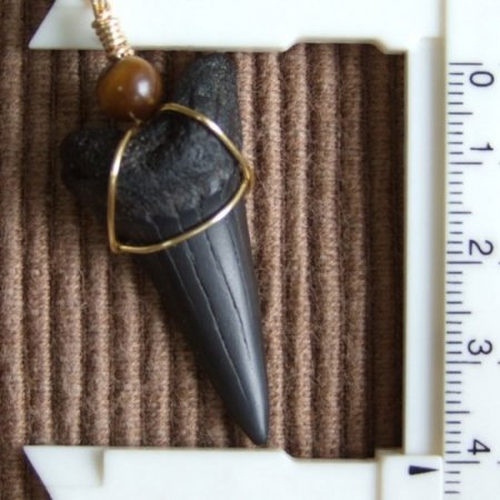 【表示現品】4cm 古代アオザメの歯化石ペンダント - 30244zhb