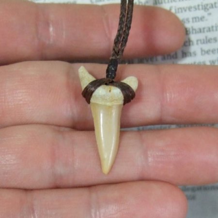 【表示現品】サメの歯化石 ペンダント - 30278zhb
