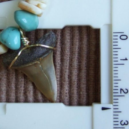 【表示現品】古代アオザメの歯化石 ビーズチョーカー - 30292zhb
