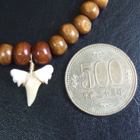 【表示現品】シロワニの仲間の歯の化石　ウッドビーズブレスレット - SFB13002