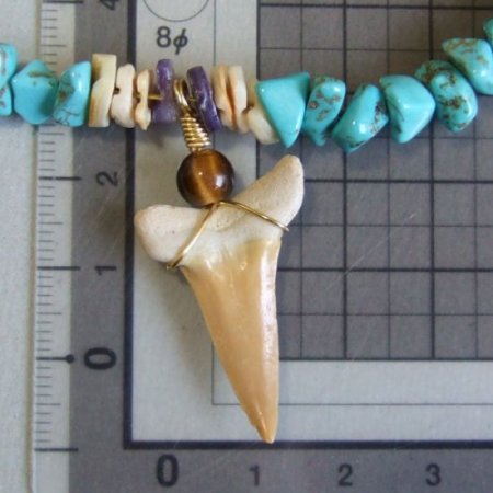 【表示現品】古代シロワニの仲間の歯化石　ビーズブレスレット - STF-16003