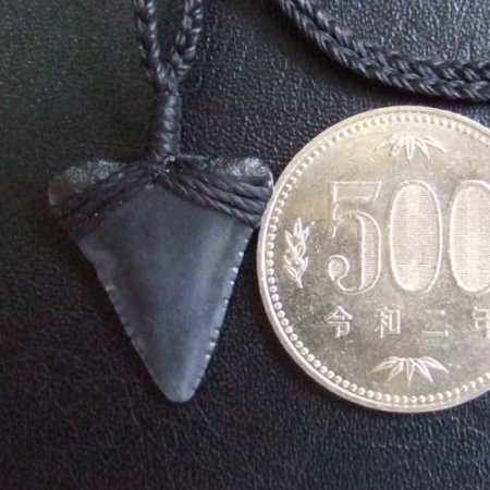 【表示現品】ホホジロザメの歯化石 ペンダント（2.2cm） - STF-16007