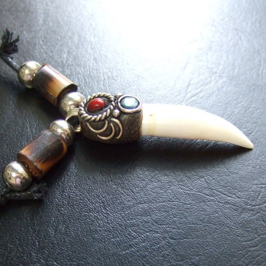 【表示現品】クロコダイルの歯ネックレス - 40100pwb