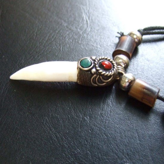 【表示現品】クロコダイルの歯ネックレス - 40100pwb