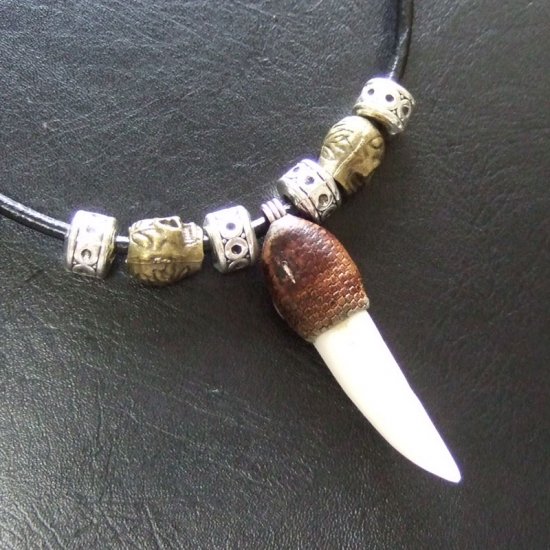 【表示現品】クロコダイルの歯ネックレス - 40119phb