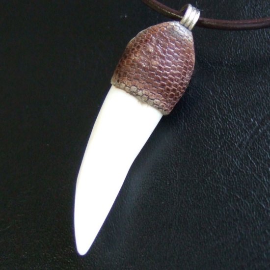 【表示現品】大型 クロコダイルの牙 ペンダントトップ - 40153phb