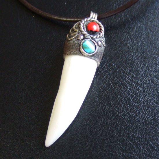 【表示現品】大型 クロコダイルの牙 ペンダントトップ - 40153phb