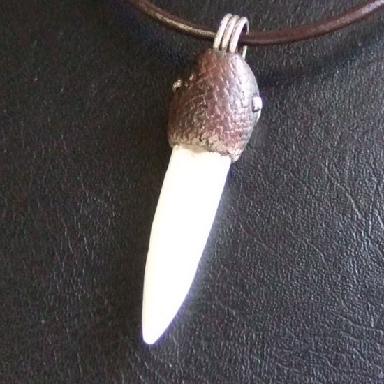 【表示現品】クロコダイルの牙 ペンダントトップ - 40155phb