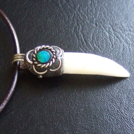 【表示現品】クロコダイルの牙 ペンダントトップ - 40155phb