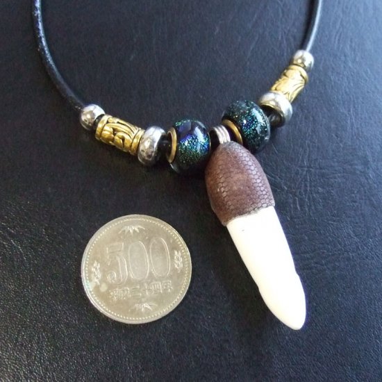 【表示現品】クロコダイルの歯ネックレス - 40179phb