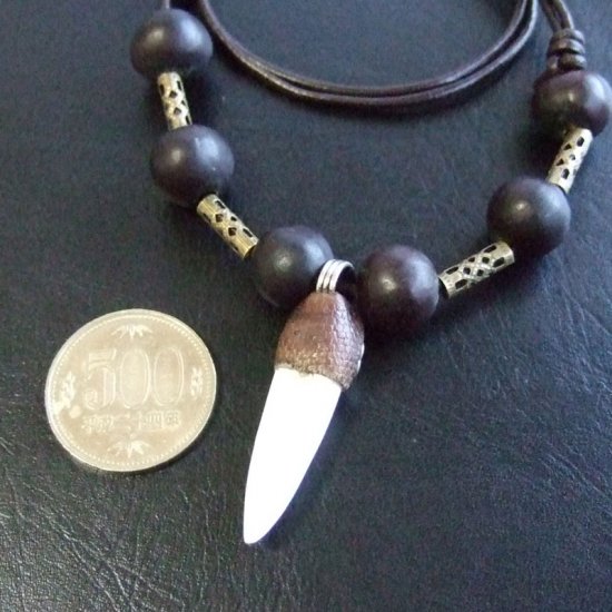 【表示現品】クロコダイルの歯ネックレス - 40180phb