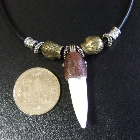 【表示現品】クロコダイルの歯ネックレス - 40193phb