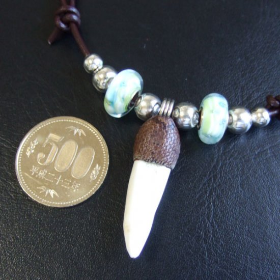 【訳あり現品】クロコダイルの歯ネックレス - 40202phb