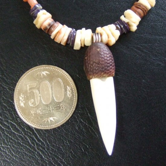 【表示現品】クロコダイルの牙 ペンダント- 40236phb