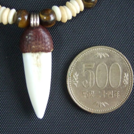 【表示現品】クロコダイルの歯ネックレス - 40286zhb