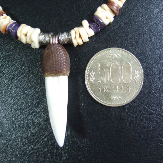 【表示現品】クロコダイルの牙 ペンダント- 40303phb