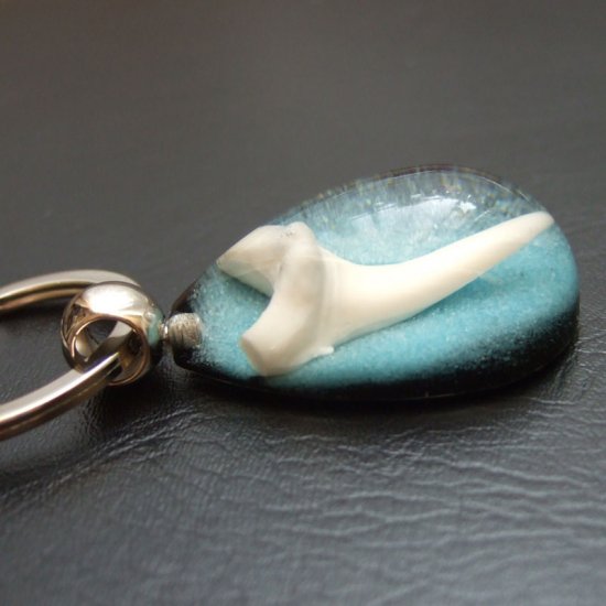 サメの歯キーホルダー（シロワニ）ブルー - 50031ezw