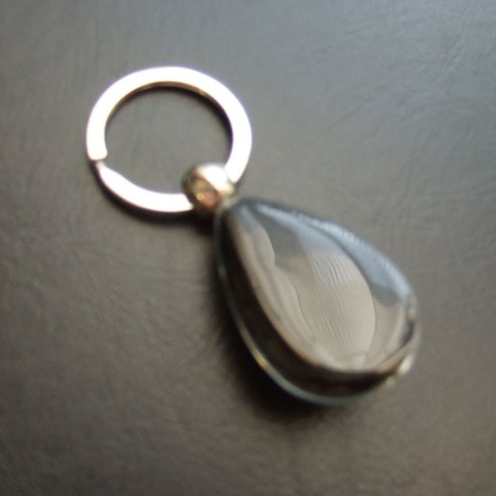 サメの歯キーホルダー（シロワニ）ブルー - 50031ezw