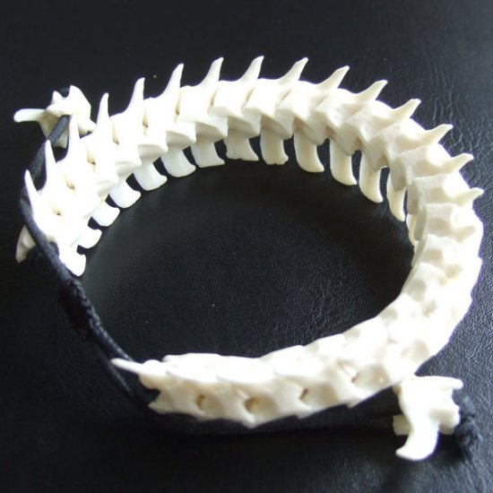 XＬサイズヘビの骨製ブレスレット - 50062esa