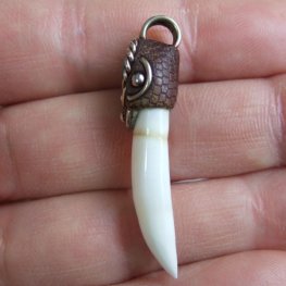 【訳あり現品】クロコダイルの歯ネックレス - CTN-14009 【訳あり現品】クロコダイルの歯ネックレス - CTN-14009