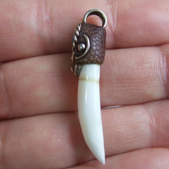 【訳あり現品】クロコダイルの歯ネックレス - CTN-14009