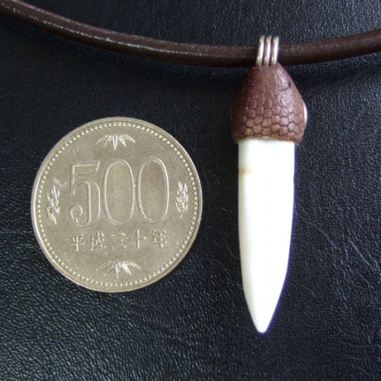 【訳あり現品】クロコダイルの歯ネックレス - CTN-14009