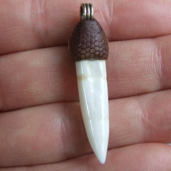 【訳あり現品】クロコダイルの歯ネックレス - CTN-14009