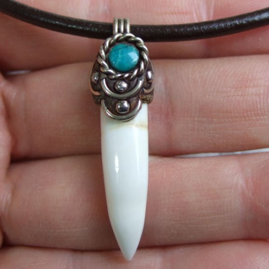 【訳あり現品】クロコダイルの歯ネックレス - CTN-14009